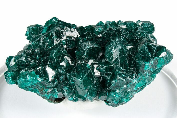 Sparkly Emerald-Green Dioptase Crystal Cluster - Congo #347866